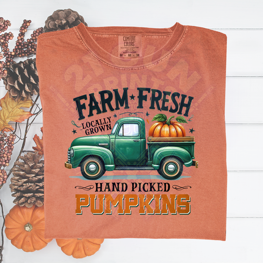 Farm Fresh Pumpkins