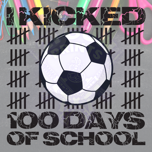 I Kicked 100 Days